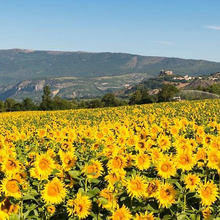 Salerans Serre Des Ormes - Cycling, Walking & Running Retreat المظهر الخارجي الصورة