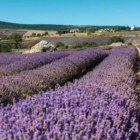 Salerans Serre Des Ormes - Cycling, Walking & Running Retreat المظهر الخارجي الصورة