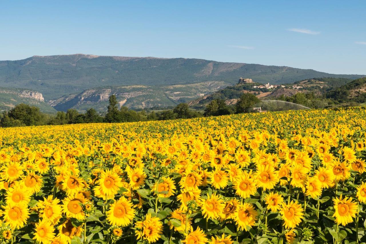 Salerans Serre Des Ormes - Cycling, Walking & Running Retreat المظهر الخارجي الصورة